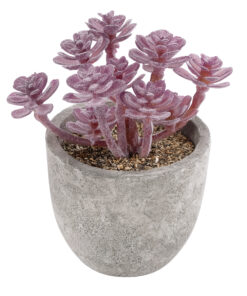GloboStar® GloboStar® Artificial Garden SUCCULENT SEDUM 21017 Διακοσμητικό Φυτό Παχύφυτο Σέδο Υ10cm