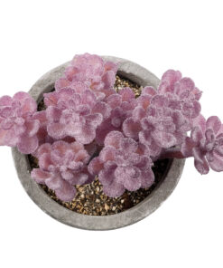 GloboStar® Artificial Garden SUCCULENT SEDUM 21017 Διακοσμητικό Φυτό Παχύφυτο Σέδο Υ10cm 7 21017 3