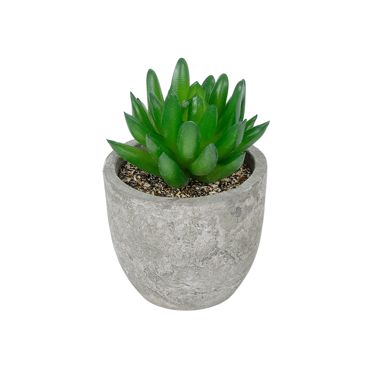 GloboStar® Artificial Garden SUCCULENT SEDEVERIA POTTED PLANT 21019 Διακοσμητικό Φυτό Σεδεβέρια Φ6,5 x Υ9cm 3 5 x Υ9cm