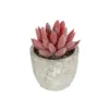 GloboStar® GloboStar® Artificial Garden SUCCULENT SEDEVERIA 21020 Τεχνητό Διακοσμητικό Φυτό Σεδεβέρια Μ6.5 x Π6.5 x Υ9cm