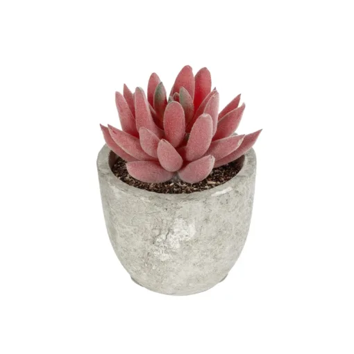 GloboStar® GloboStar® Artificial Garden SUCCULENT SEDEVERIA 21020 Τεχνητό Διακοσμητικό Φυτό Σεδεβέρια Μ6.5 x Π6.5 x Υ9cm