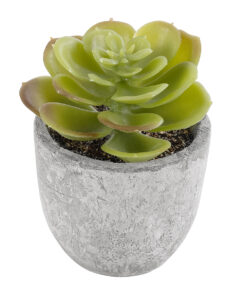 GloboStar® GloboStar® Artificial Garden SUCCULENT SEDEVERIA 21021 Διακοσμητικό Φυτό Παχύφυτο Σεντεβέρια Υ8.5cm