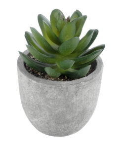GloboStar® GloboStar® Artificial Garden SUCCULENT SEDEVERIA 21023 Διακοσμητικό Φυτό Παχύφυτο Σεντεβέρια Υ10cm