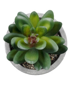 GloboStar® Artificial Garden SUCCULENT SEDEVERIA 21023 Διακοσμητικό Φυτό Παχύφυτο Σεντεβέρια Υ10cm 7 21023 3