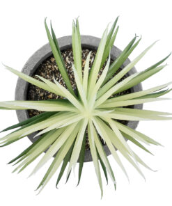 Alternative view of GloboStar® Artificial Garden SUCCULENT SENECIO 21024 Διακοσμητικό Φυτό Παχύφυτο Σενέκιο Υ12cm