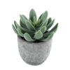 GloboStar® GloboStar® Artificial Garden SUCCULENT SEDEVERIA 21025 Διακοσμητικό Φυτό Παχύφυτο Σεντεβέρια Υ10.5cm