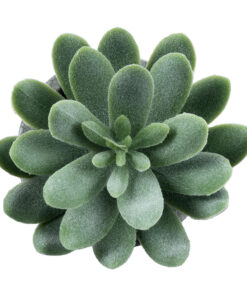 Alternative view of GloboStar® Artificial Garden SUCCULENT SEDEVERIA 21025 Διακοσμητικό Φυτό Παχύφυτο Σεντεβέρια Υ10.5cm