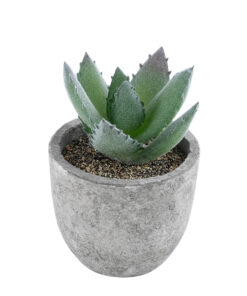 GloboStar® GloboStar® Artificial Garden SUCCULENT ALOE 21026 Διακοσμητικό Φυτό Παχύφυτο Αλόη Υ10.5cm