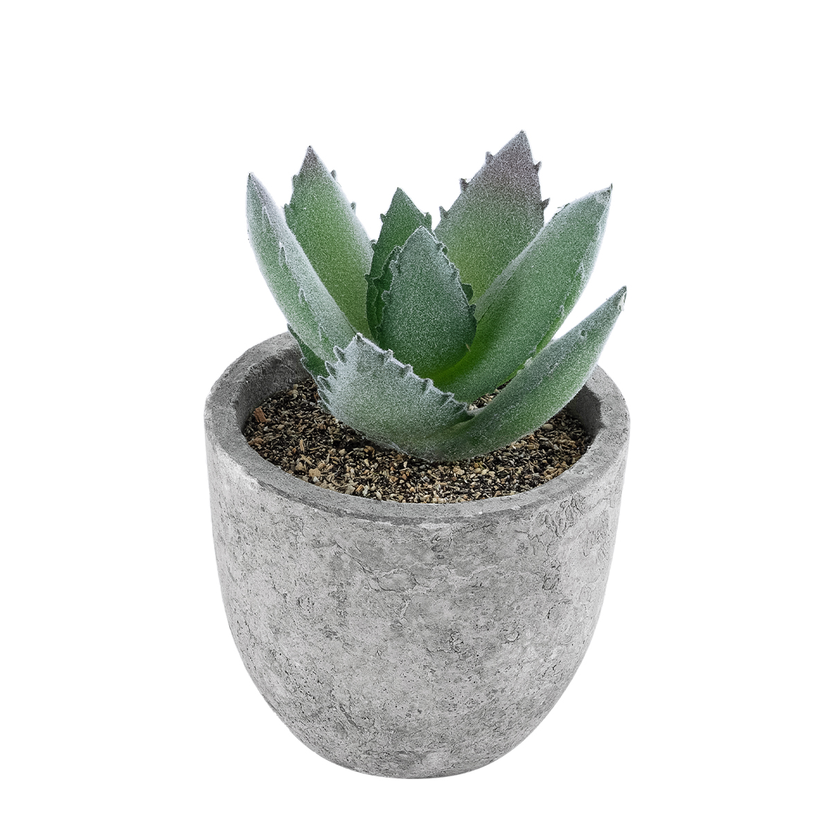 GloboStar® Artificial Garden SUCCULENT ALOE 21026 Διακοσμητικό Φυτό Παχύφυτο Αλόη Υ10.5cm 3 GloboStar® GloboStar® Artificial Garden SUCCULENT ALOE 21026 Διακοσμητικό Φυτό Παχύφυτο Αλόη Υ10.5cm