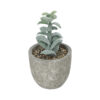 GloboStar® GloboStar® Artificial Garden SUCCULENT SEDEVERIA POTTED PLANT 21027 Διακοσμητικό Φυτό Σεδεβέρια  Φ5 x Υ11cm