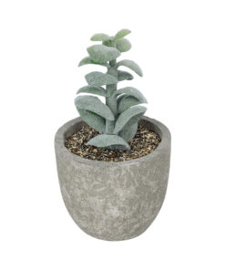 GloboStar® GloboStar® Artificial Garden SUCCULENT SEDEVERIA POTTED PLANT 21027 Διακοσμητικό Φυτό Σεδεβέρια Φ5 x Υ11cm