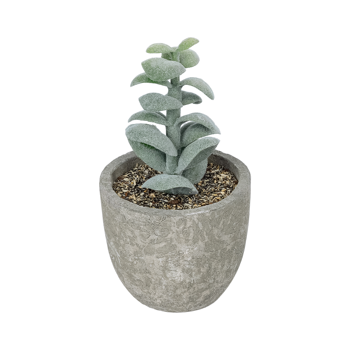 GloboStar® Artificial Garden SUCCULENT SEDEVERIA POTTED PLANT 21027 Διακοσμητικό Φυτό Σεδεβέρια Φ5 x Υ11cm 3 GloboStar® GloboStar® Artificial Garden SUCCULENT SEDEVERIA POTTED PLANT 21027 Διακοσμητικό Φυτό Σεδεβέρια Φ5 x Υ11cm