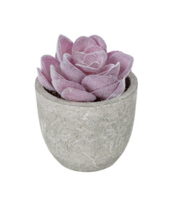GloboStar® GloboStar® Artificial Garden SUCCULENT SEDEVERIA POTTED PLANT 21028 Διακοσμητικό Φυτό Σεδεβέρια  Φ5x Υ11cm