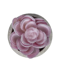 Alternative view of GloboStar® Artificial Garden SUCCULENT SEDEVERIA POTTED PLANT 21028 Διακοσμητικό Φυτό Σεδεβέρια  Φ5x Υ11cm