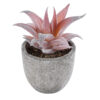 GloboStar® GloboStar® Artificial Garden SUCCULENT ALOE 21032 Διακοσμητικό Φυτό Παχύφυτο Αλόη Υ11cm