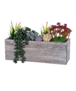 GloboStar® GloboStar® Artificial Garden SUCCULENT VARIUS PLANT POTTED 21033 Διακοσμητικό Φυτό Μίξ Μ29 x Π10 x Υ18cm