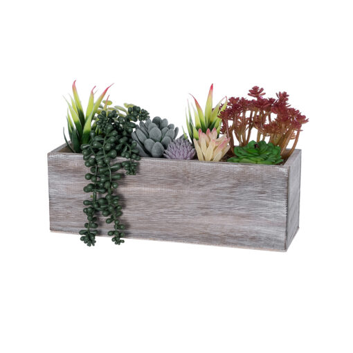 GloboStar® GloboStar® Artificial Garden SUCCULENT VARIUS PLANT POTTED 21033 Διακοσμητικό Φυτό Μίξ Μ29 x Π10 x Υ18cm
