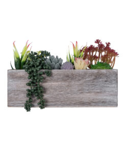 Alternative view of GloboStar® Artificial Garden SUCCULENT VARIUS PLANT POTTED 21033 Διακοσμητικό Φυτό Μίξ Μ29 x Π10 x Υ18cm