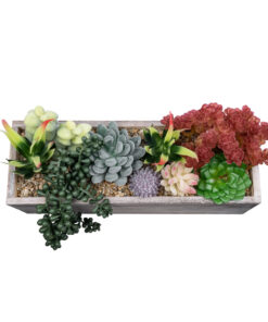 GloboStar® Artificial Garden SUCCULENT VARIUS PLANT POTTED 21033 Διακοσμητικό Φυτό Μίξ Μ29 x Π10 x Υ18cm 11 21033 4