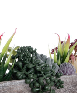 GloboStar® Artificial Garden SUCCULENT VARIUS PLANT POTTED 21033 Διακοσμητικό Φυτό Μίξ Μ29 x Π10 x Υ18cm 13 21033 6