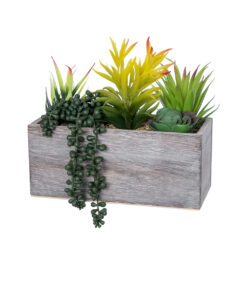 GloboStar® GloboStar® Artificial Garden SUCCULENT VARIUS PLANT POTTED 21034 Διακοσμητικό Φυτό Μίξ Μ23 x Π13 x Υ23cm