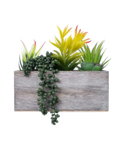 GloboStar® Artificial Garden SUCCULENT VARIUS PLANT POTTED 21034 Διακοσμητικό Φυτό Μίξ Μ23 x Π13 x Υ23cm 9 21034 3