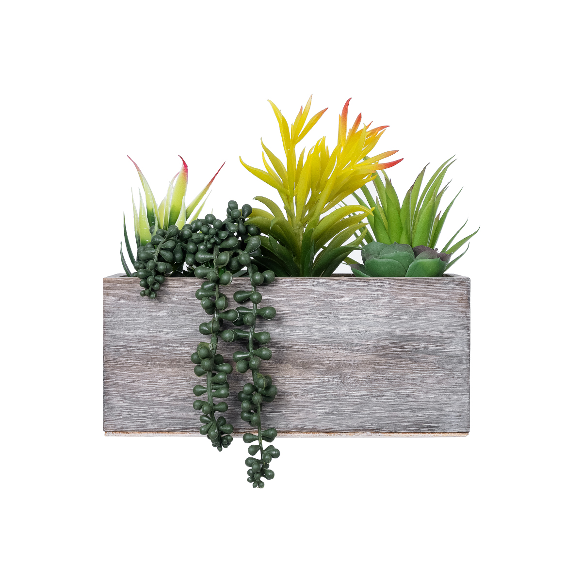 GloboStar® Artificial Garden SUCCULENT VARIUS PLANT POTTED 21034 Διακοσμητικό Φυτό Μίξ Μ23 x Π13 x Υ23cm 4 GloboStar® Artificial Garden SUCCULENT VARIUS PLANT POTTED 21034 Διακοσμητικό Φυτό Μίξ Μ23 x Π13 x Υ23cm - Image 2