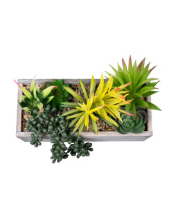 GloboStar® Artificial Garden SUCCULENT VARIUS PLANT POTTED 21034 Διακοσμητικό Φυτό Μίξ Μ23 x Π13 x Υ23cm 10 21034 4