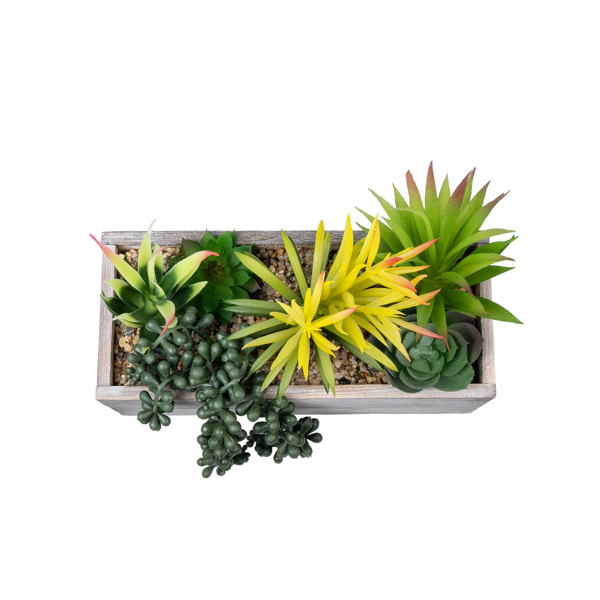 GloboStar® Artificial Garden SUCCULENT VARIUS PLANT POTTED 21034 Διακοσμητικό Φυτό Μίξ Μ23 x Π13 x Υ23cm 5 GloboStar® Artificial Garden SUCCULENT VARIUS PLANT POTTED 21034 Διακοσμητικό Φυτό Μίξ Μ23 x Π13 x Υ23cm - Image 3