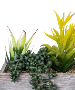 GloboStar® Artificial Garden SUCCULENT VARIUS PLANT POTTED 21034 Διακοσμητικό Φυτό Μίξ Μ23 x Π13 x Υ23cm 11 21034 5