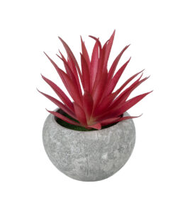 GloboStar® GloboStar® Artificial Garden AIR PLANT TILLANDSIA POTTED PLANT 21035 Διακοσμητικό Φυτό Τιλάντσια Φ12 x Υ15cm