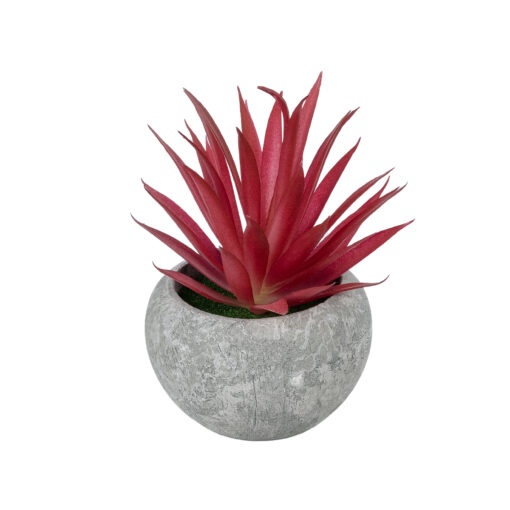 GloboStar® GloboStar® Artificial Garden AIR PLANT TILLANDSIA POTTED PLANT 21035 Διακοσμητικό Φυτό Τιλάντσια Φ12 x Υ15cm