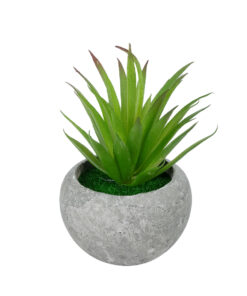 GloboStar® GloboStar® Artificial Garden AIR PLANT TILLANDSIA POTTED PLANT 21036 Διακοσμητικό Φυτό Τιλάντσια Φ12 x Υ15cm