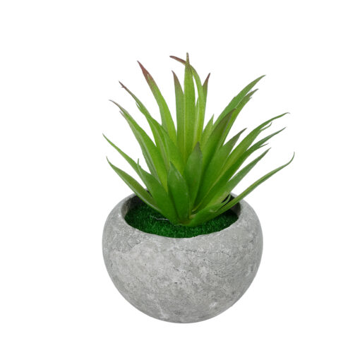 GloboStar® GloboStar® Artificial Garden AIR PLANT TILLANDSIA POTTED PLANT 21036 Διακοσμητικό Φυτό Τιλάντσια Φ12 x Υ15cm