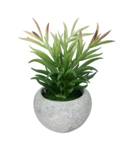 GloboStar® GloboStar® Artificial Garden SUCCULENT CRASSULA POTTED PLANT 21038 Διακοσμητικό Φυτό Κρασούλα  Φ10 x Υ17cm