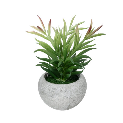 GloboStar® GloboStar® Artificial Garden SUCCULENT CRASSULA POTTED PLANT 21038 Διακοσμητικό Φυτό Κρασούλα  Φ10 x Υ17cm