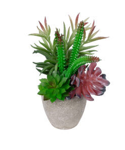 GloboStar® GloboStar® Artificial Garden SUCCULENT VARIUS PLANT POTTED 21039 Διακοσμητικό Φυτό Μίξ Μ17 x Υ20cm