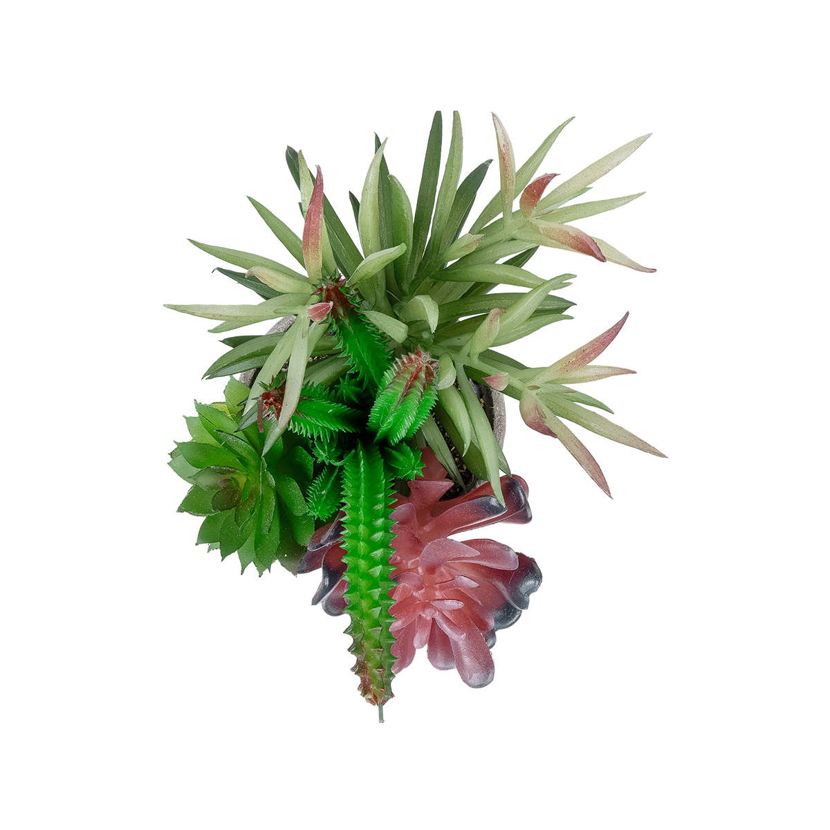 GloboStar® Artificial Garden SUCCULENT VARIUS PLANT POTTED 21039 Διακοσμητικό Φυτό Μίξ Μ17 x Υ20cm 4 GloboStar® Artificial Garden SUCCULENT VARIUS PLANT POTTED 21039 Διακοσμητικό Φυτό Μίξ Μ17 x Υ20cm - Image 2