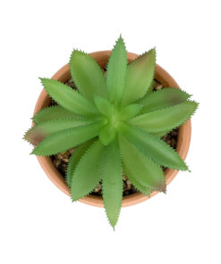Alternative view of GloboStar® Artificial Garden SUCCULENT ALOE POTTED PLANT 21040 Διακοσμητικό Φυτό Αλόη Φ9 x Υ14cm
