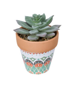 GloboStar® GloboStar® Artificial Garden SUCCULENT SEDEVERIA POTTED PLANT 21041 Διακοσμητικό Φυτό Σεδεβέρια  Φ11x Υ14cm