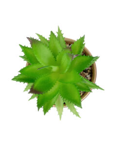 Alternative view of GloboStar® Artificial Garden SUCCULENT ALOE POTTED PLANT 21044 Διακοσμητικό Φυτό Αλόη Φ12 x Υ16cm