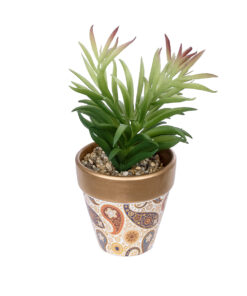 GloboStar® GloboStar® Artificial Garden SUCCULENT CRASSULA POTTED PLANT 21046 Διακοσμητικό Φυτό Κρασούλα  Φ12 x Υ20cm