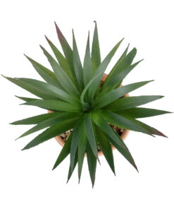 Alternative view of GloboStar® Artificial Garden SUCCULENT SANSEVIERIA POTTED PLANT 21047 Διακοσμητικό Φυτό Σανσεβιέρια  Φ16x Υ20cm