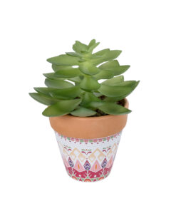 GloboStar® GloboStar® Artificial Garden SUCCULENT ECHEVERIA POTTED PLANT 21048 Διακοσμητικό Φυτό Εχεβέρια Φ13 x Υ18cm