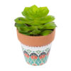 GloboStar® GloboStar® Artificial Garden SUCCULENT ECHEVERIA 21049 Διακοσμητικό Φυτό Παχύφυτο Εχεβέρια Υ14cm