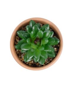 Alternative view of GloboStar® Artificial Garden SUCCULENT SANSEVIERIA POTTED PLANT 21051 Διακοσμητικό Φυτό Σανσεβιέρια  Φ8x Υ14cm