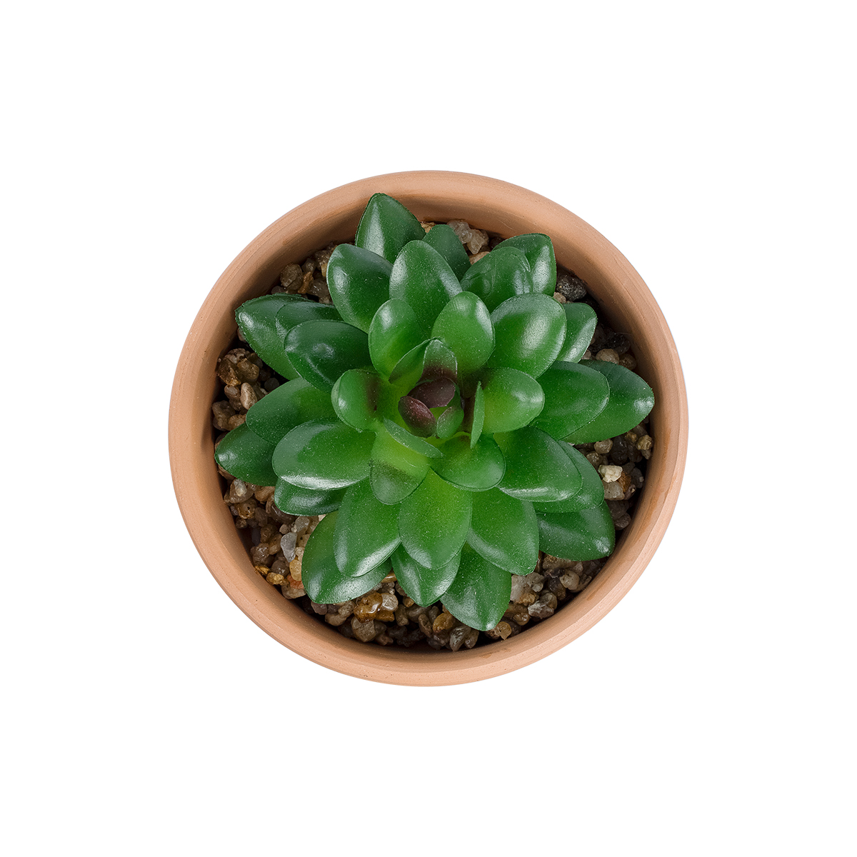 GloboStar® Artificial Garden SUCCULENT SANSEVIERIA POTTED PLANT 21051 Διακοσμητικό Φυτό Σανσεβιέρια Φ8x Υ14cm 4 GloboStar® Artificial Garden SUCCULENT SANSEVIERIA POTTED PLANT 21051 Διακοσμητικό Φυτό Σανσεβιέρια Φ8x Υ14cm - Image 2