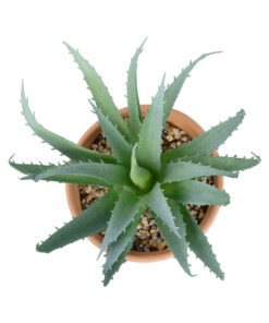 GloboStar® Artificial Garden SUCCULENT ALOE POTTED PLANT 21053 Διακοσμητικό Φυτό Αλόη Φ15 x Υ19cm 7 21053 3