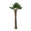 GloboStar® GloboStar® Artificial Garden PLANT PALM TREE 21055 Διακοσμητικό Δέντρο Φοίνικα  Φ240 x Υ400cm