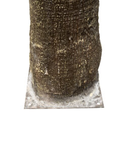 GloboStar® Artificial Garden PLANT PALM TREE 21055 Διακοσμητικό Δέντρο Φοίνικα Φ240 x Υ400cm 13 21055 6